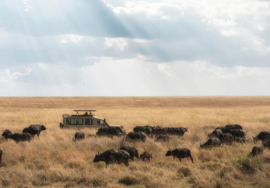 Tanzania jesienią - czy to dobra pora na wypoczynek?