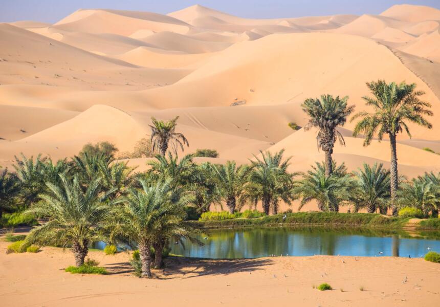 Co najlepszego proponuje nam urlop w Zjednoczonych Emiratach Arabskich?