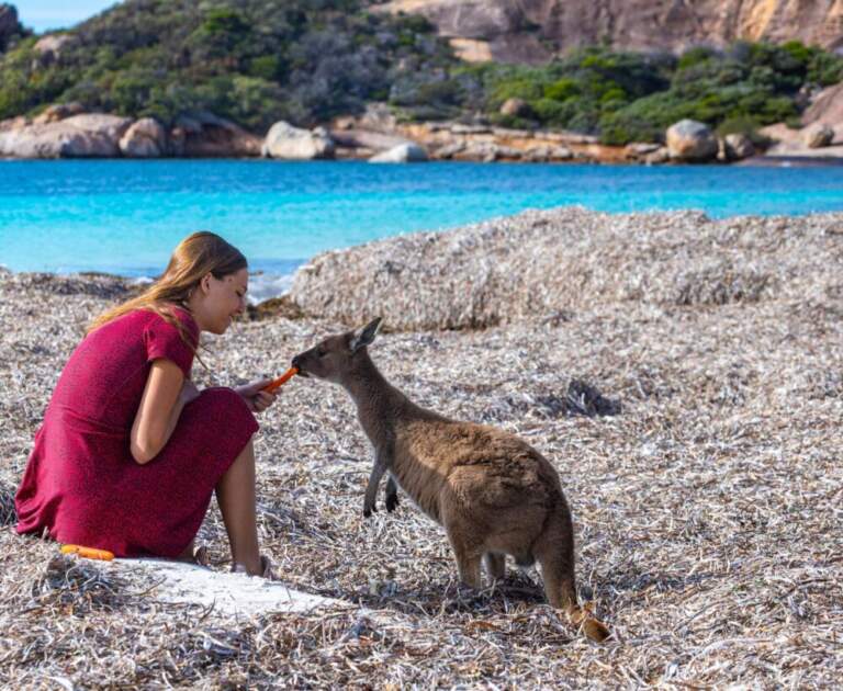 Ile kosztują wakacje w Australii?