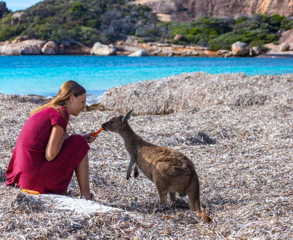 Ile kosztują wakacje w Australii?