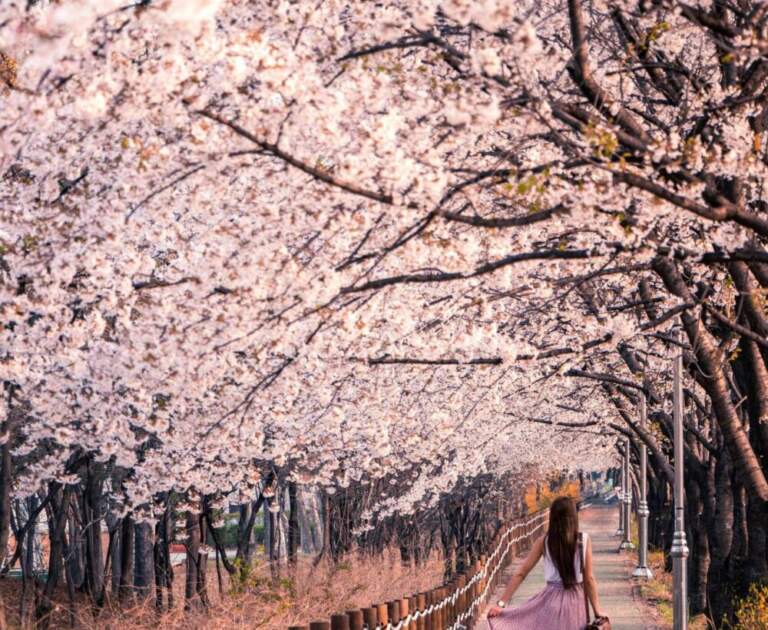 Ile kosztują wakacje w Korei Południowej?